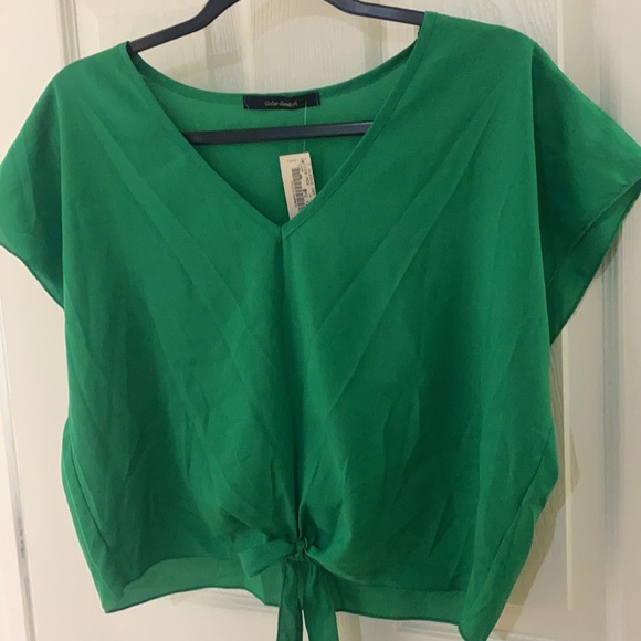 NWT color swatch short sleeve green front tie sleeveless top - Picture 4 of 11